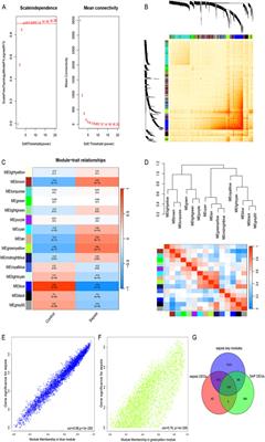 Screening and identification of the hub genes in severe acute pancreatitis and sepsis